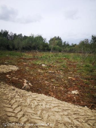 Pequeña rústica con vistas despejadas - BALEARES