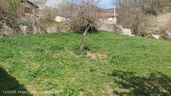  Venta parcela urbana en Pesaguero - CANTABRIA 