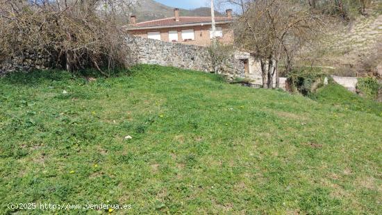 Venta parcela urbana en Pesaguero - CANTABRIA