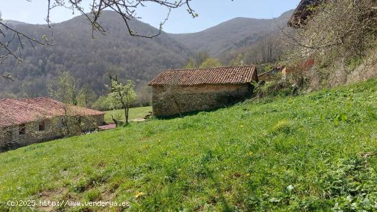 Venta parcela urbana en Pesaguero - CANTABRIA