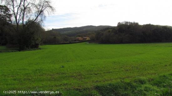 Venta de parcela rústica en Ruiloba - CANTABRIA