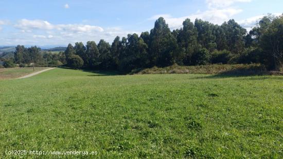 Terreno en venta en Miengo - CANTABRIA