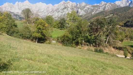 Parcela rustica urbanizable - CANTABRIA