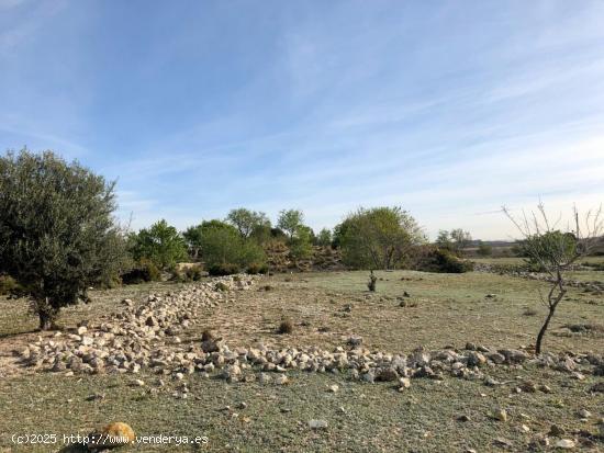 TERRENO EN ELS ARQUETS-SANT JAUME DEL DOMENYS - TARRAGONA