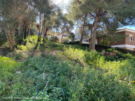 Terreno muy buen ubicado En Cubellas - BARCELONA