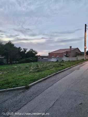  PARCELA EN LA BISBAL DEL PENEDES. - TARRAGONA 