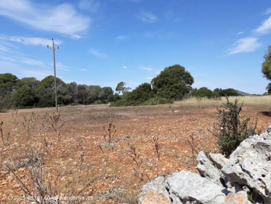 Se Vende en Santanyí - BALEARES