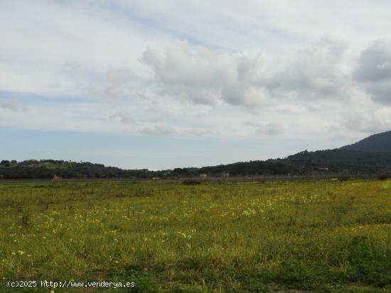 Terreno rustico edificable en muy buena zona - BALEARES