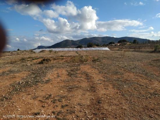 Se Vende Tierra Rústica en La Romana - Novelda (Alicante) - ALICANTE