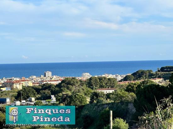 Solar rústico en Pineda de Mar de 940 m2 cerca del pueblo - BARCELONA