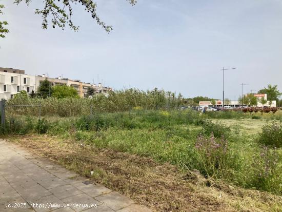 Solar edificable para 14 viviendas en Tordera - BARCELONA