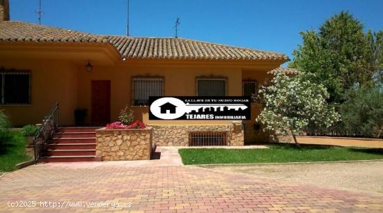 INMOBILIARIA TEJARES VENDE EN AGUASOL - ALBACETE