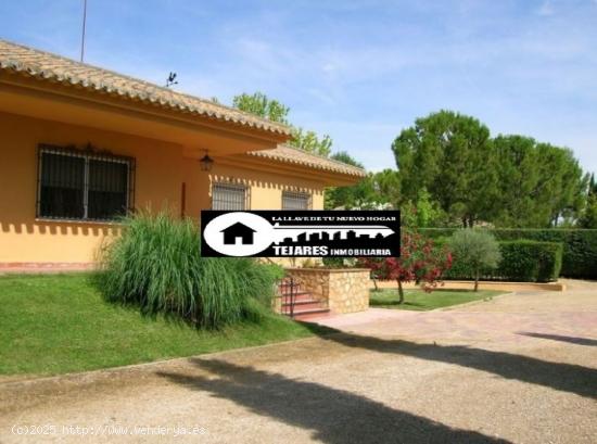 INMOBILIARIA TEJARES VENDE EN AGUASOL - ALBACETE