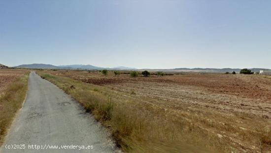 VENTA FINCA CULTIVO EN ZARZILLA DE RAMOS - MURCIA