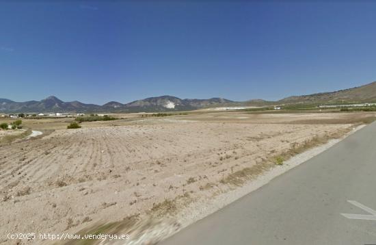 VENTA FINCA CULTIVO EN ZARZILLA DE RAMOS - MURCIA