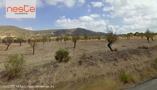 FINCA EN AGUADERAS - MURCIA