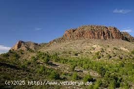 FINCA EN CANCARIX-HELLIN - ALBACETE