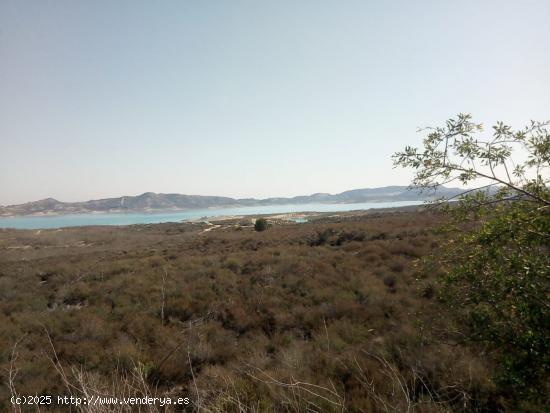 Finca en Torremendo - ALICANTE