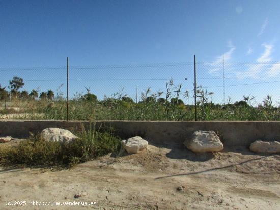 Parcela en el campico de Guardamar - ALICANTE