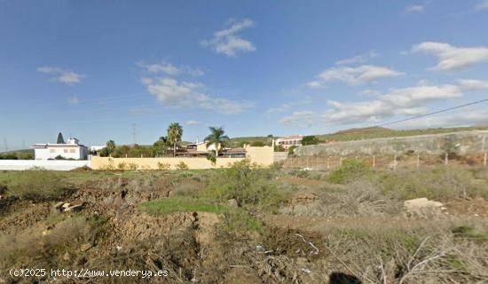 Se vende finca en el Guargacho, San Miguel de Abona - SANTA CRUZ DE TENERIFE