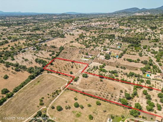 TERRENO EDIFICABLE DE 17.533m2 CON PROYECTO INCLUIDO - BALEARES