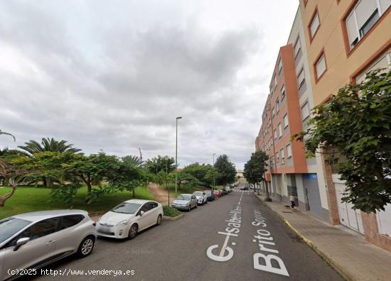 Se Alquila en Las Palmas de Gran Canaria - LAS PALMAS