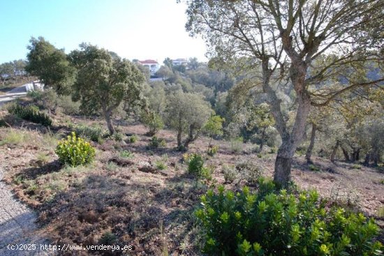 Suelo urbano en venta  en Calonge - Girona