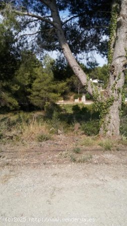 Suelo urbano en venta  en Cabra del Camp - Tarragona