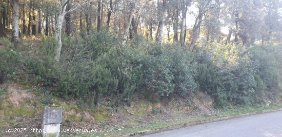 Suelo Urbanizable en venta  en Riells i Viabrea - Girona