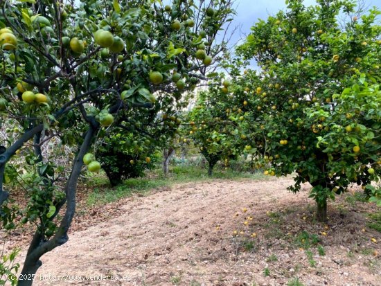 Suelo rústico en venta  en Bonastre - Tarragona