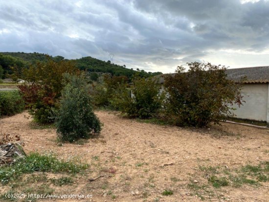 Suelo rústico en venta  en Bonastre - Tarragona