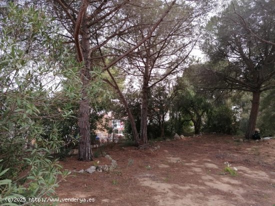 Suelo urbano en venta  en Segur de Calafell - Tarragona