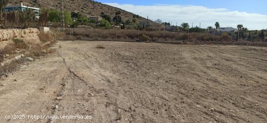 Terreno urbanizable en Elche pedanias zona BUENOS AIRES