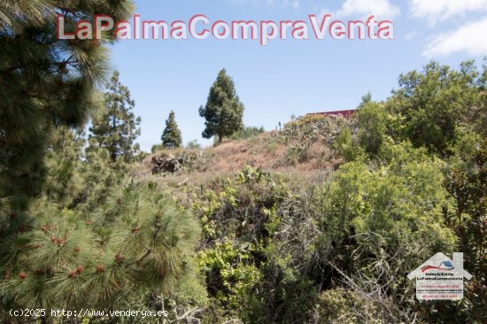 Suelo rústico en Venta en Puntagorda Santa Cruz de Tenerife