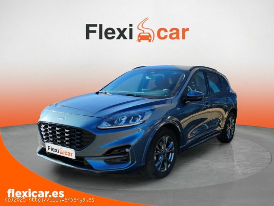 Ford Kuga ST-Line 1.5 EcoBlue 88kW (120CV) Auto - Cáceres