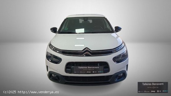 Citroën C4 Cactus  PureTech 81KW (110CV) S&S Shine - Quintanar De La Orden