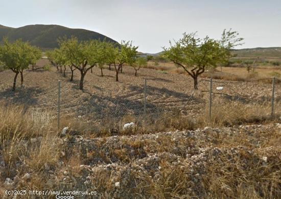 Parcela en barbarroja - ALICANTE