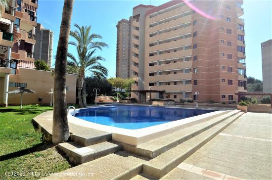  SE VENDE APARTAMNETO DOS DORMITORIOS EN BENIDORM ZONA PONIENTE HOTEL BALI - ALICANTE 