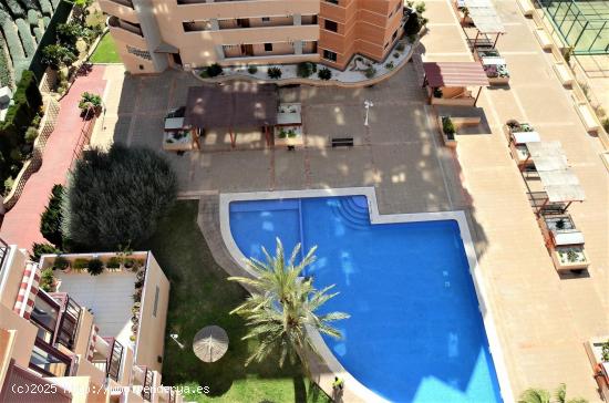 SE VENDE APARTAMNETO DOS DORMITORIOS EN BENIDORM ZONA PONIENTE HOTEL BALI - ALICANTE