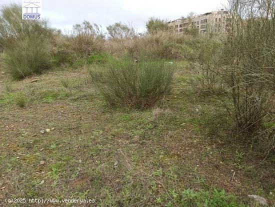 Estupendo terreno en la zona norte de Mérida - BADAJOZ