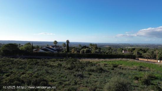 Solar con vistas al mar de 7.000 m2 en Puntiró - BALEARES