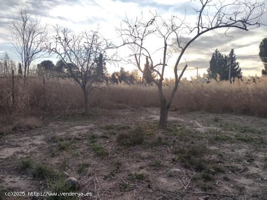 ¡Se vende terreno rustico en Lorqui, muy cerca del Rio! - MURCIA