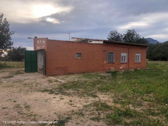 FINCA RUSTICA CON CASA Y PISCINA EN JESUS - TARRAGONA