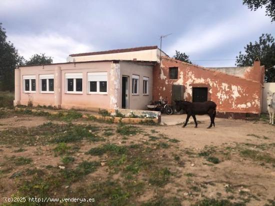 FINCA RUSTICA CON CASA Y PISCINA EN JESUS - TARRAGONA