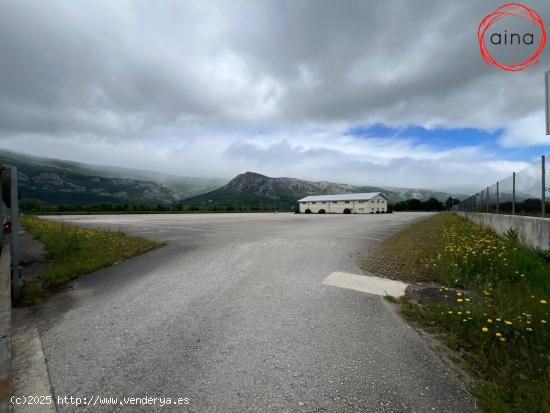 CAMPA DE 40.000 mts TOTALMENTE ACONDICIONADA CON NAVE DE 500 MTS - NAVARRA