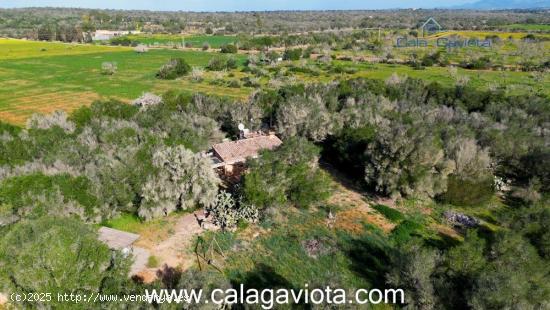 Finca en venta con encanto mallorquín en Ses Salines - BALEARES