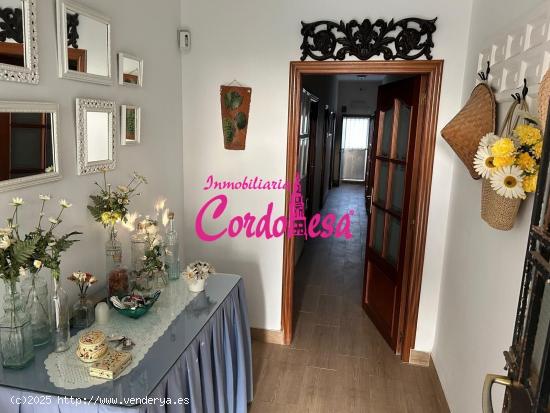 MAGNIFICA CASA CON TERRENO Y PISCINA EN ALCOLEA!!!! - CORDOBA