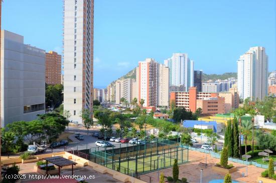 SE VENDE APARTAMENTO DE 2 DORMITORIOS EN ZONA DE HOTEL BALI, BENIDORM! SEVENDGROUP.COM! - ALICANTE