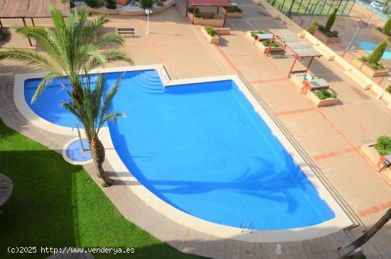 SE VENDE APARTAMENTO DE 2 DORMITORIOS EN ZONA DE HOTEL BALI, BENIDORM! SEVENDGROUP.COM! - ALICANTE