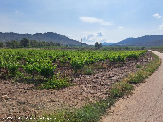 Parcela en venta en Pinoso (Alicante)